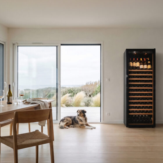 Cave à vin de vieillissement pose libre installée dans une salle à manger de standing avec baies vitrées. Conditions de conservation idéales pour le vin pendant plusieurs années. Qualité et durabilité EuroCave